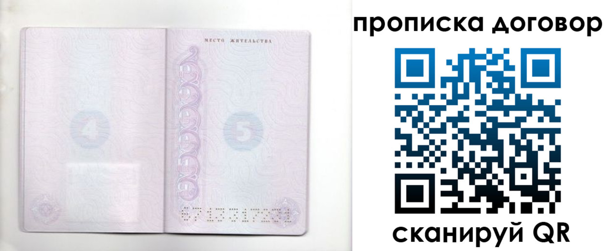 купить прописку в Курской области